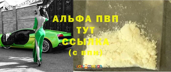 прущие грибы Арсеньев