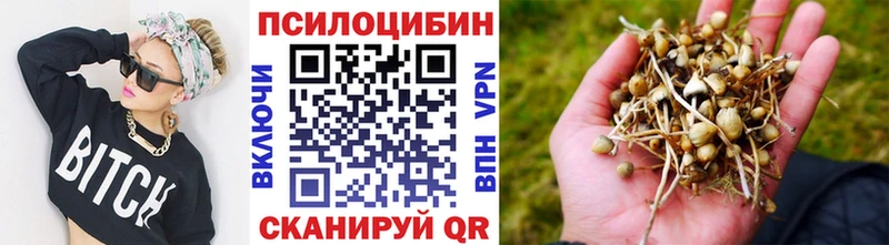 OMG ONION  Усть-Джегута  Псилоцибиновые грибы Magic Shrooms  купить  сайты 