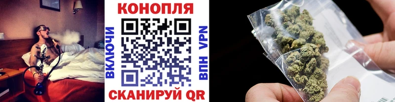 Бошки марихуана Amnesia  купить   Усть-Джегута 
